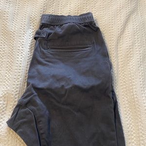 Zanerobe joggers